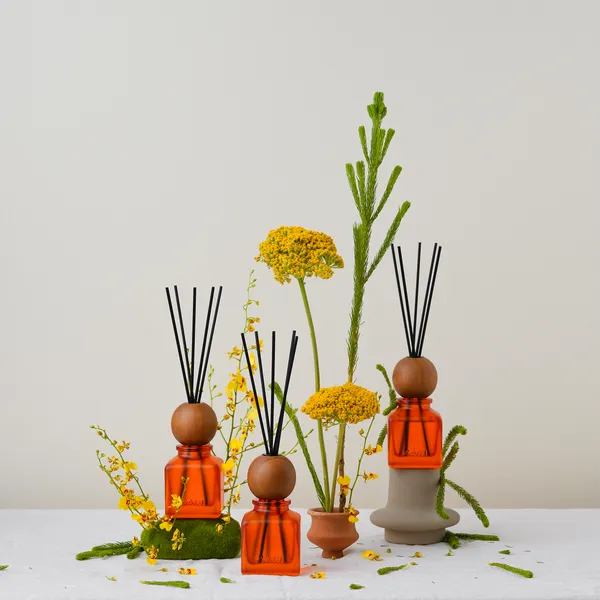 ZAHI diffusers and candles