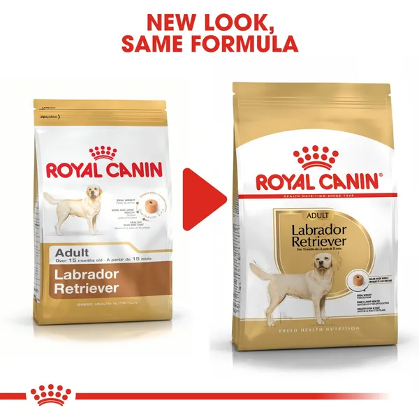 royal canin labrador retriever adult dog food